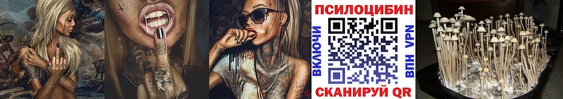 Галлюциногенные грибы ЛСД Беломорск
